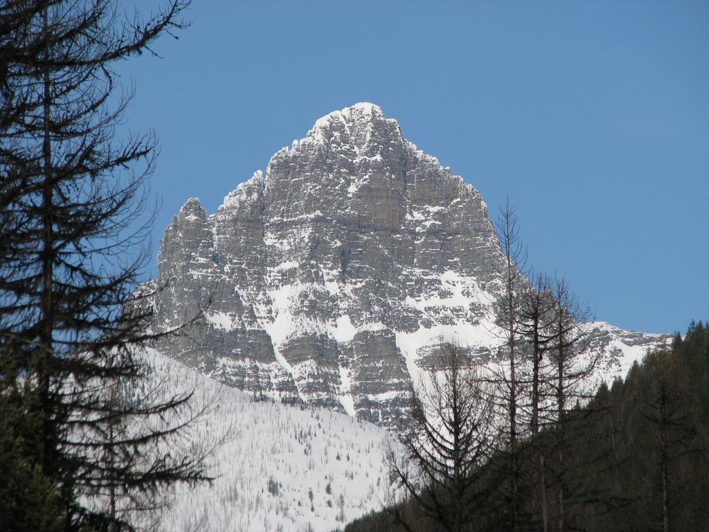 Glacier Haven Inn Pinnacle Exteriér fotografie
