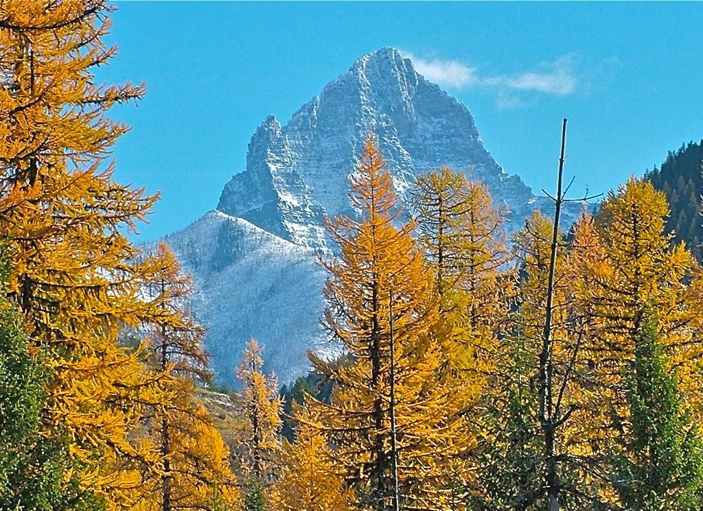 Glacier Haven Inn Pinnacle Exteriér fotografie